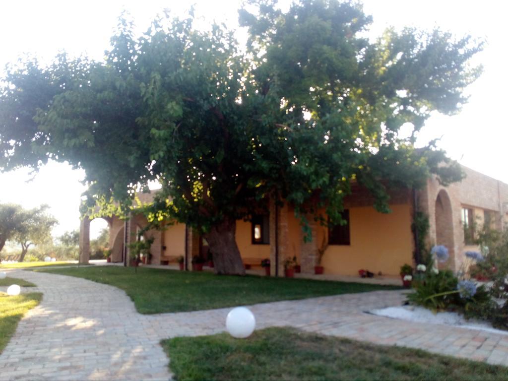 Agriturismo Piccolo Albero لوريتو أبروتينو المظهر الخارجي الصورة