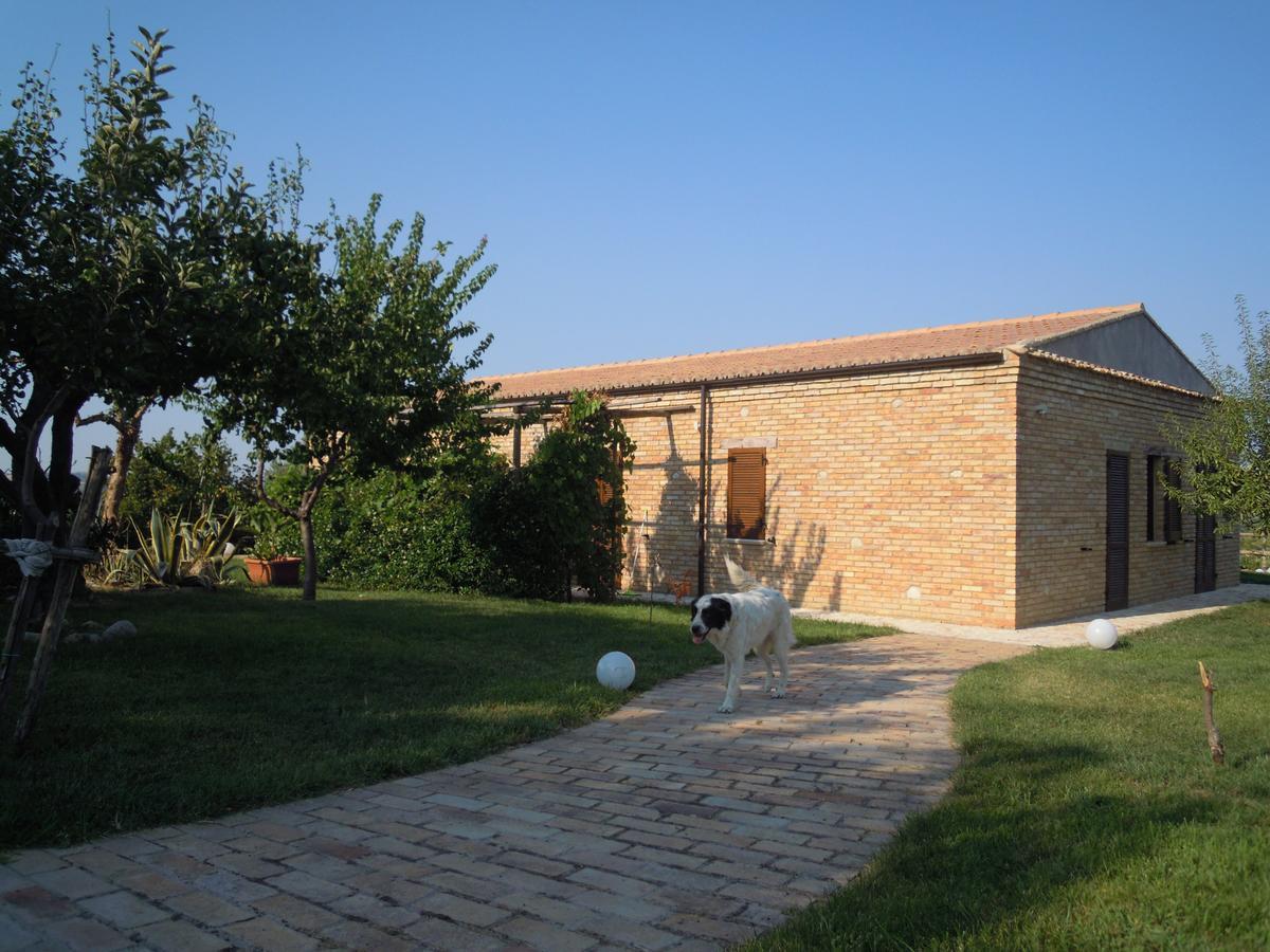 Agriturismo Piccolo Albero لوريتو أبروتينو المظهر الخارجي الصورة